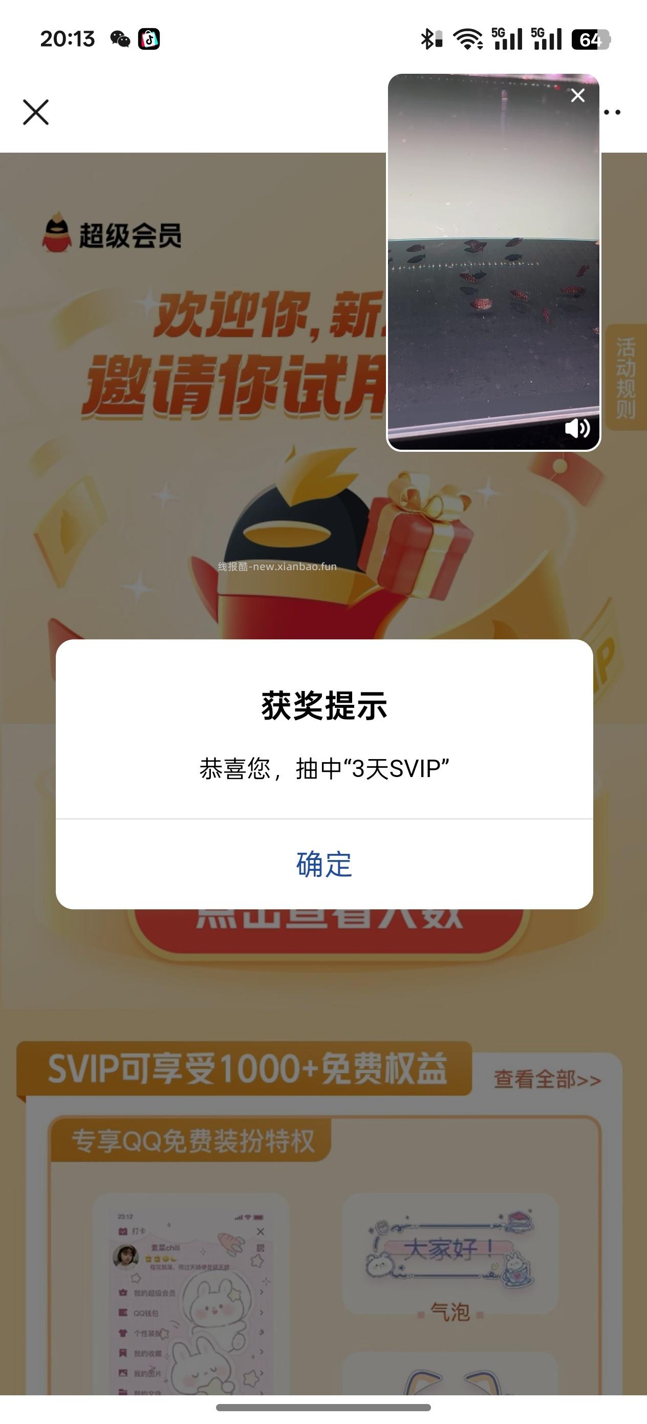 免费领取QQSvip会员，保底一天 - 线报酷
