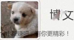 招行 昨日权限毛补发 - 线报酷