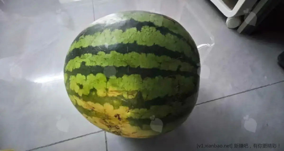 夏天来了,分享一个花小钱买高品质西瓜的方法! - 线报酷 夏天来了,分享一个花小钱买高品质西瓜的方法! - 线报酷