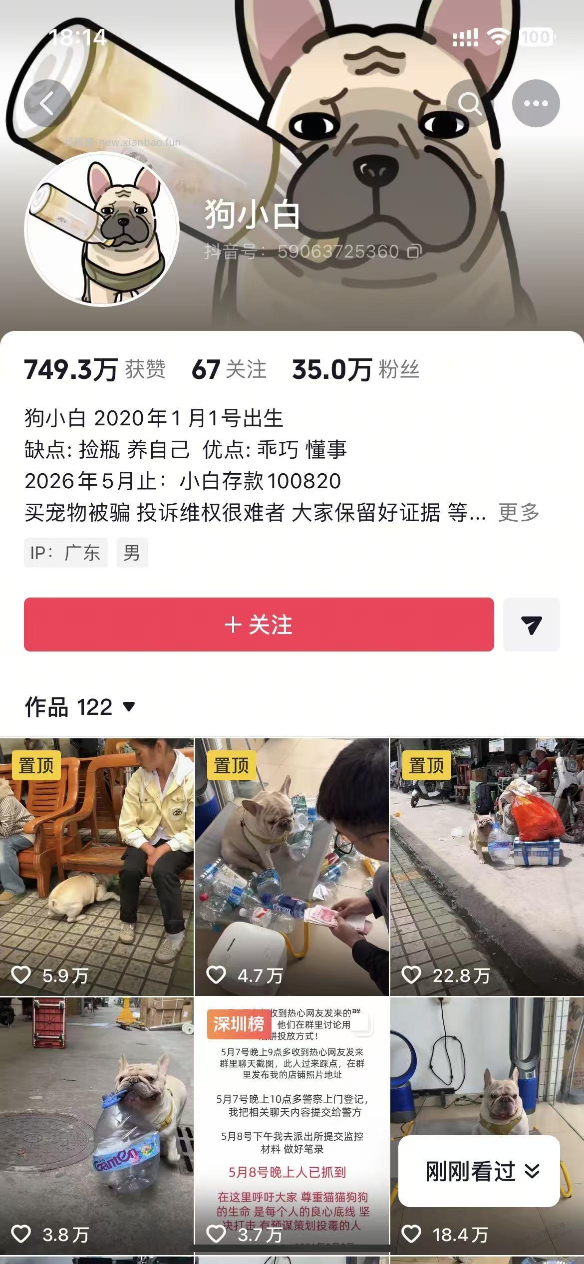 狗都努力存了10万多块 - 线报酷