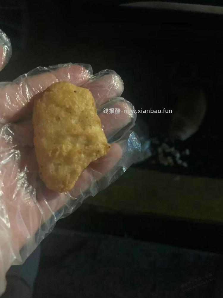 路上遇到行讨的流浪猫母子 - 线报酷