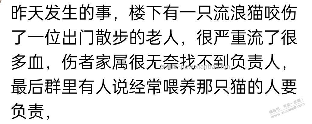 现在看到有些人在小区经常投喂流浪猫，你觉得是做好事还是好心办坏事？ - 线报酷