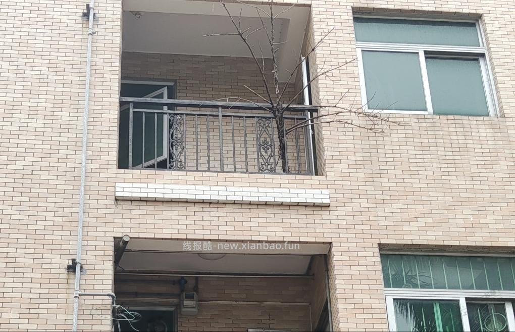 这种情况怎么处理 - 线报酷