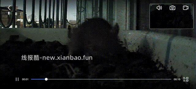 卧槽，竟然是老鼠 - 线报酷
