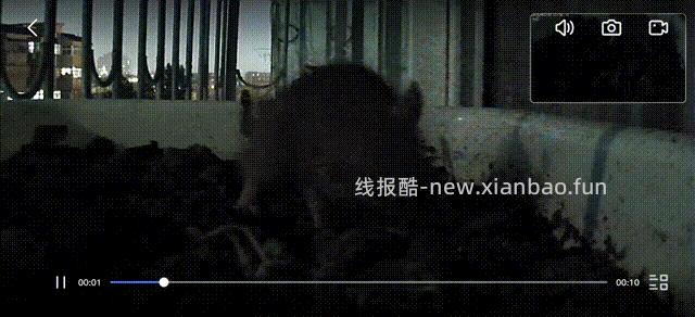 卧槽，竟然是老鼠 - 线报酷