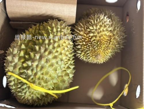 老哥们怎么看榴莲熟了没有呀 - 线报酷