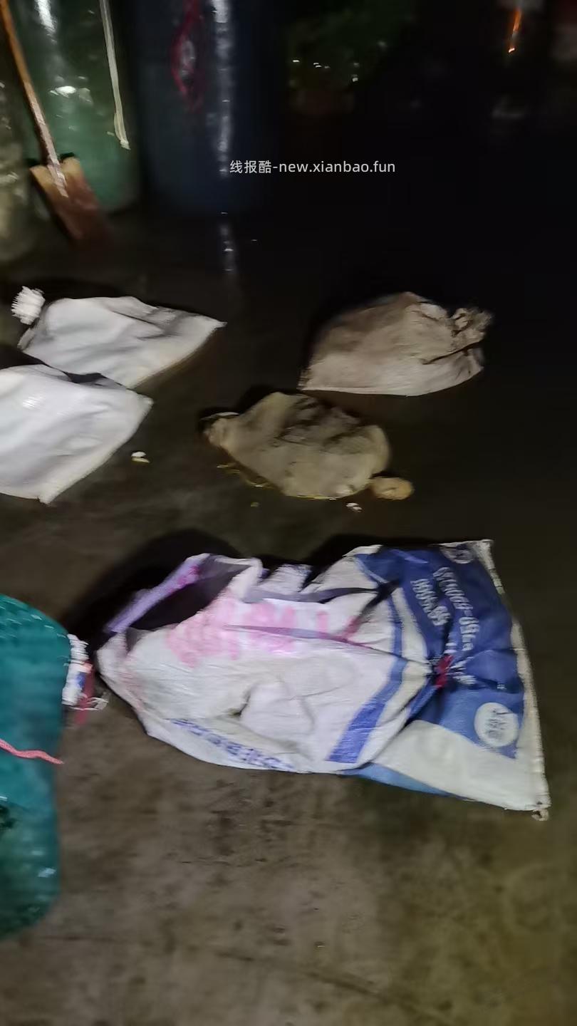 这几天老家发洪水，附近养殖场亏惨了 - 线报酷
