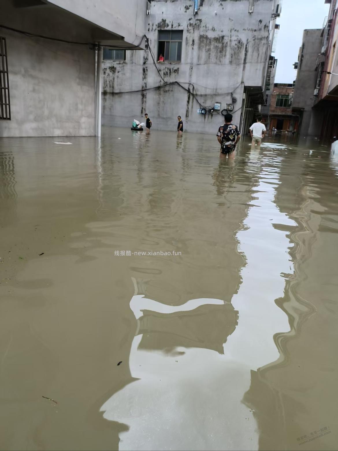 这几天老家发洪水，附近养殖场亏惨了 - 线报酷