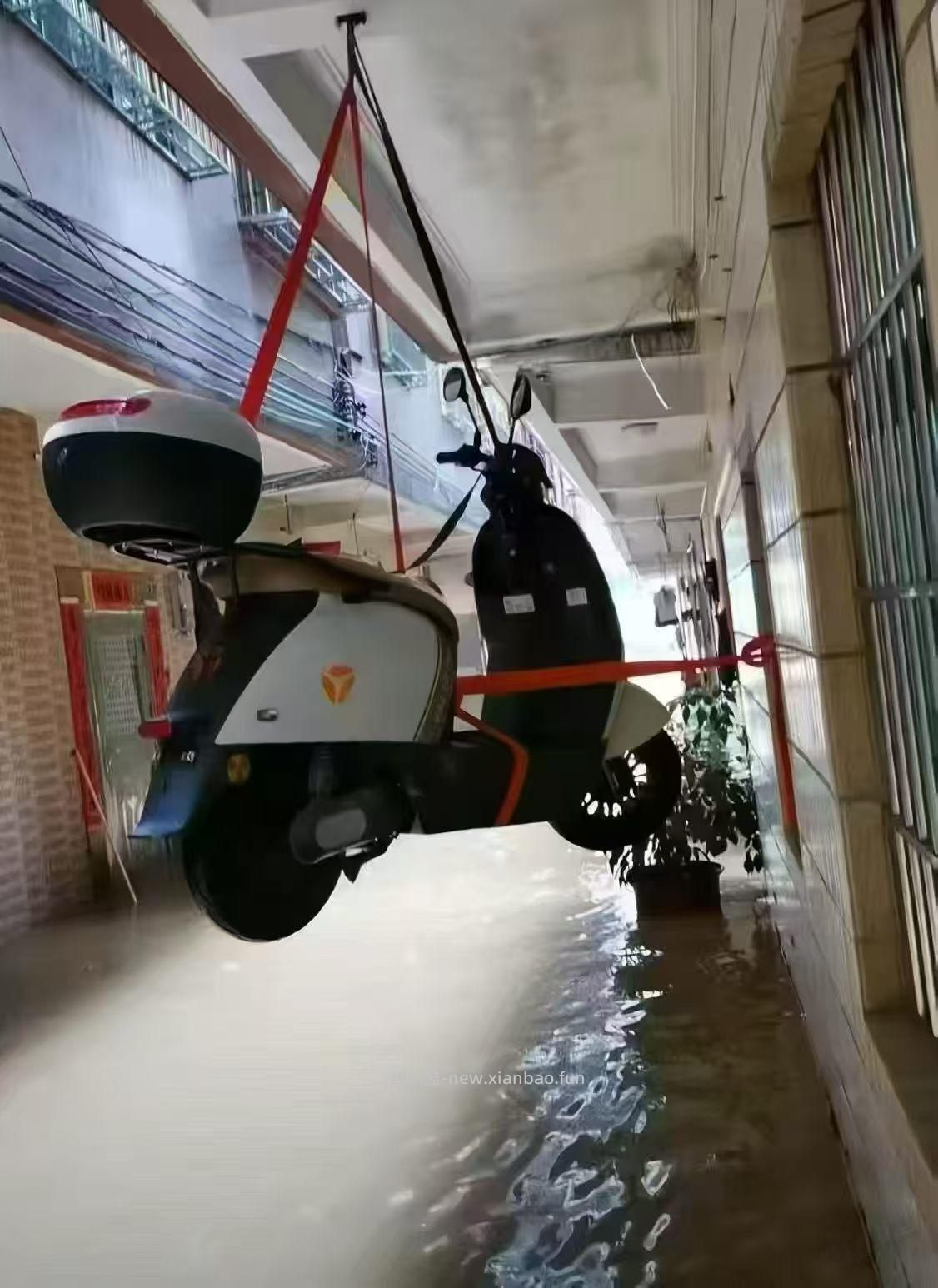 这几天老家发洪水，附近养殖场亏惨了 - 线报酷
