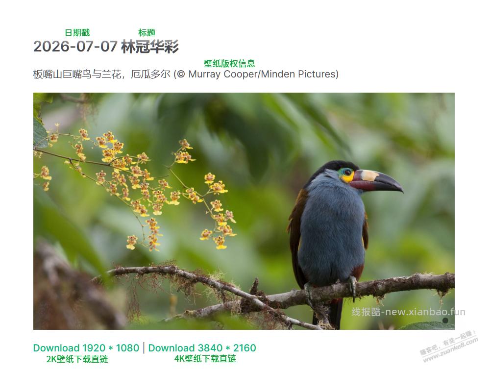必应每日壁纸下载站(转发) - 线报酷 必应每日壁纸下载站(转发) - 线报酷