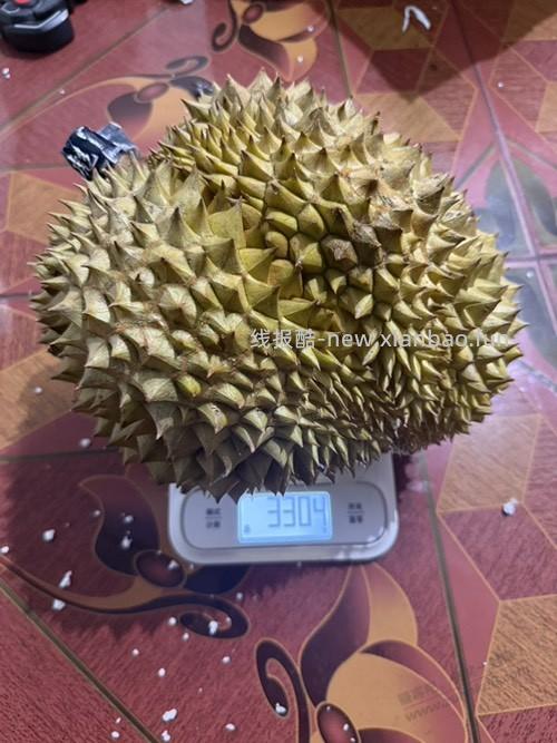 前天多多的榴莲昨天到了 - 线报酷