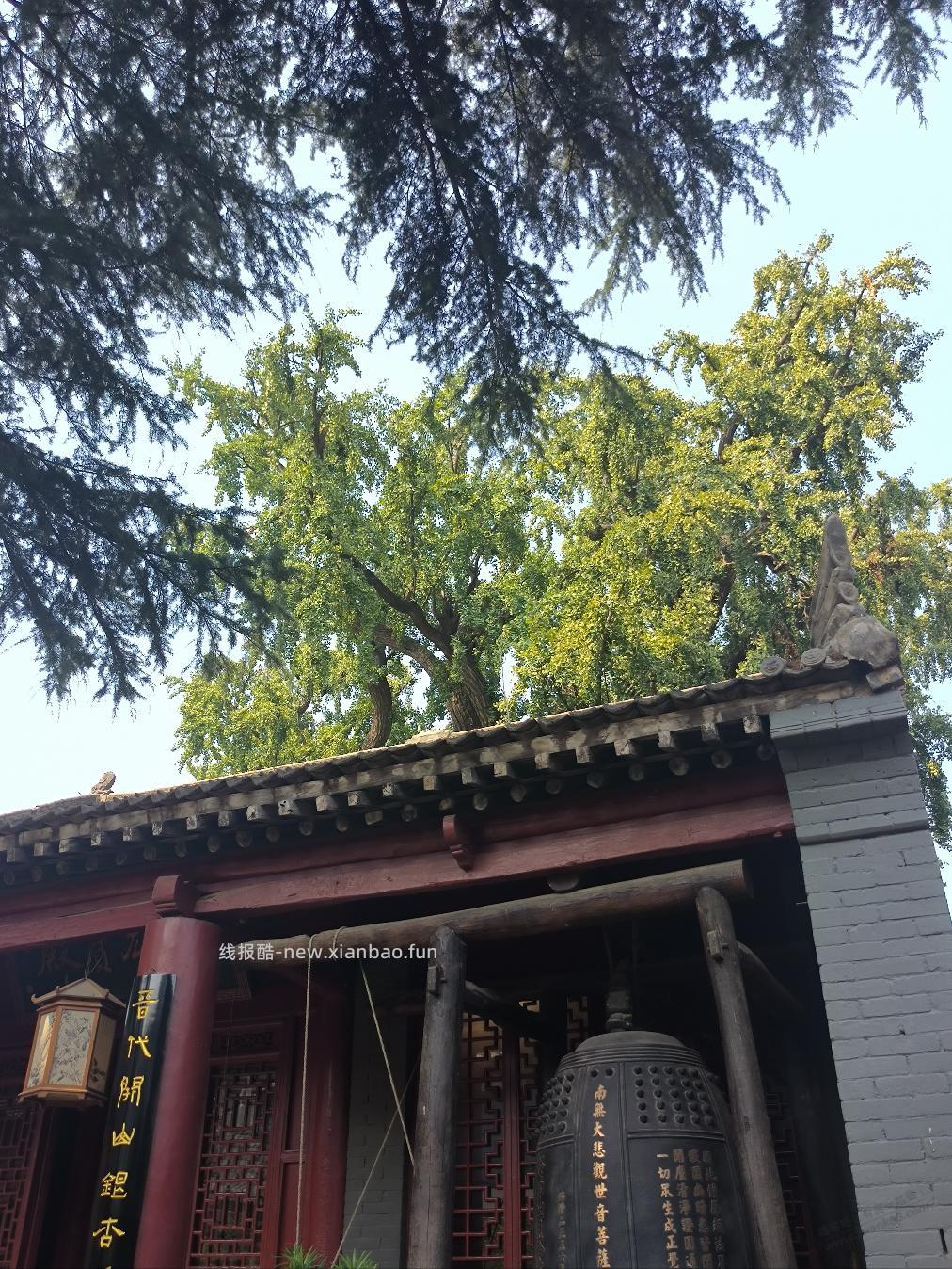 梦游 - 线报酷 梦游 - 线报酷