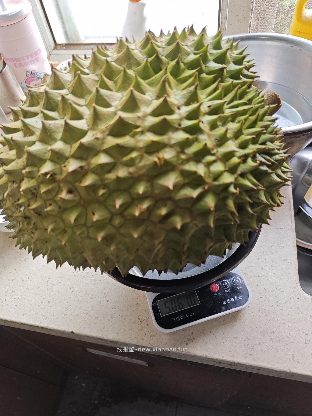 拼多多榴莲很给力啊 - 线报酷 拼多多榴莲很给力啊 - 线报酷
