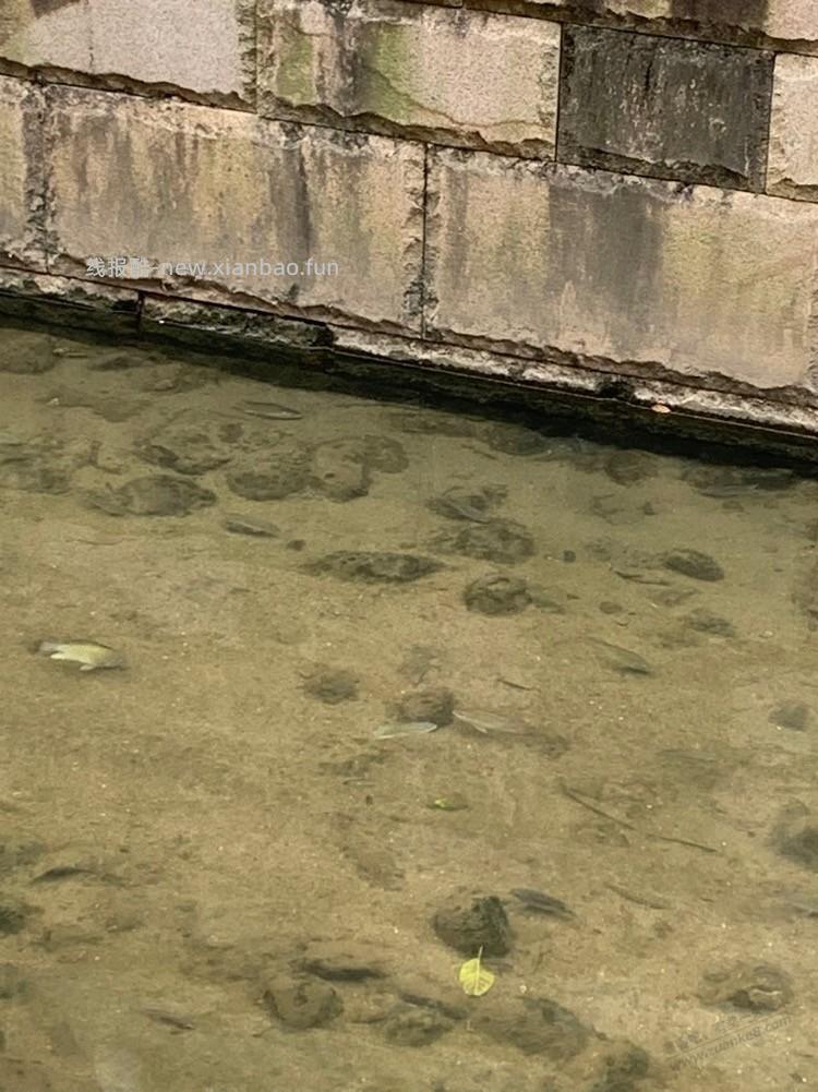 开着透视钓鱼是不是难度更大阿 - 线报酷